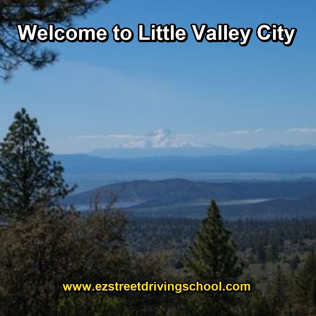 Driving Lessons in Little Valley